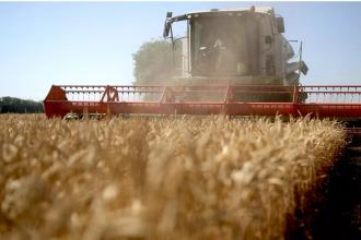 В Липецкой области началась уборка зерновых